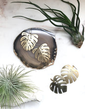 Load image into Gallery viewer, Tropical Frond Earrings ws